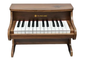 25 Keys Kids Digital Piano 092525 - front view, 25 professional 22 mm keys chromatic C4 to C6