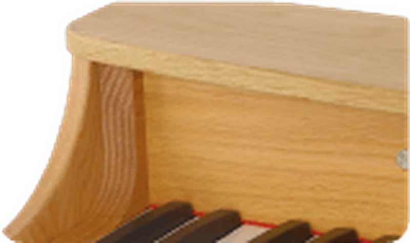 25 Keys Kids Digital Piano – Red Oak, 22mm Pro Keys (092529) — gallery image