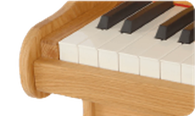 25 Keys Kids Digital Piano – Red Oak, 22mm Pro Keys (092529) — gallery image